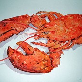 Lobster.