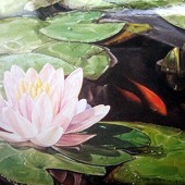 Pink Waterlily.